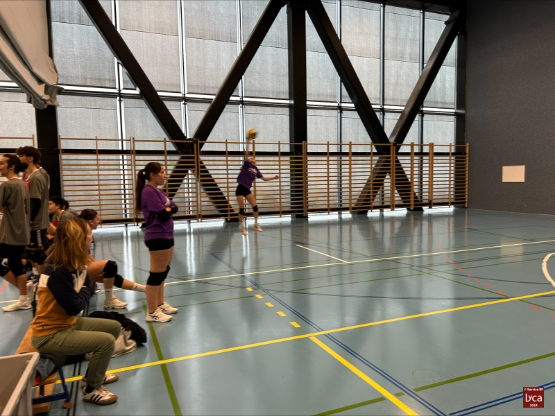 Volley2024-03