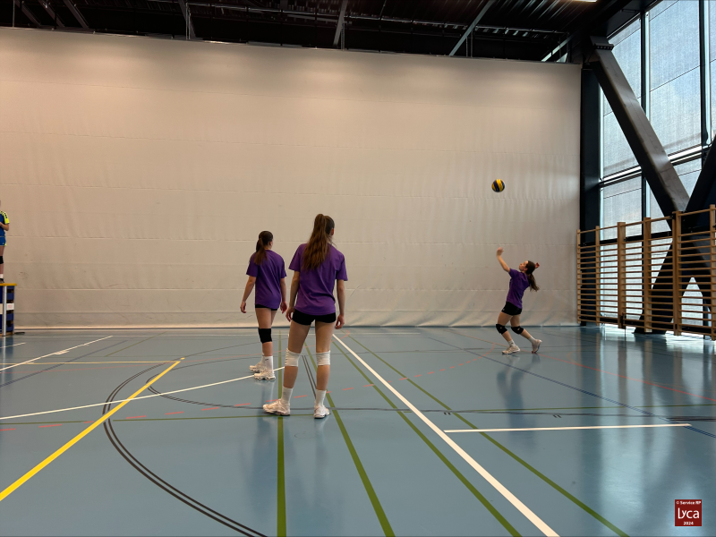 Volley2024-08