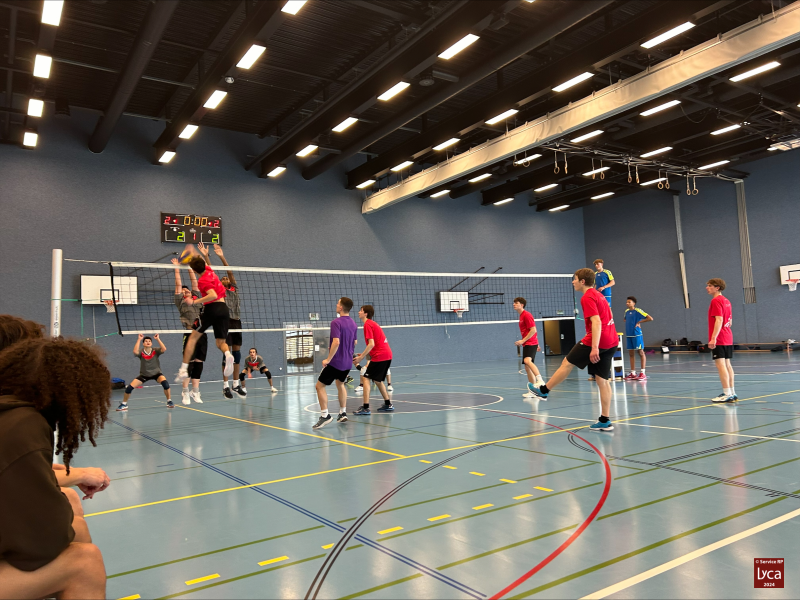 Volley2024-12