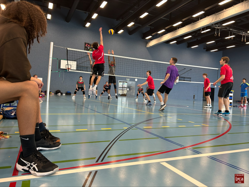 Volley2024-15