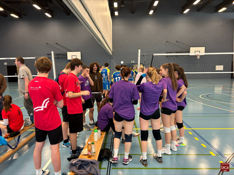 Volley2024-25